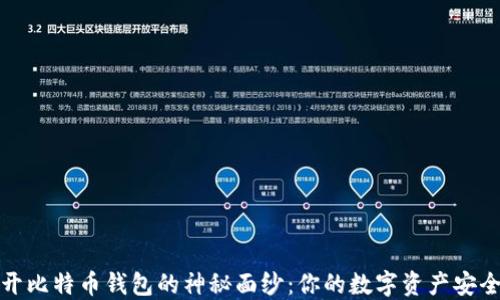
揭开比特币钱包的神秘面纱：你的数字资产安全港