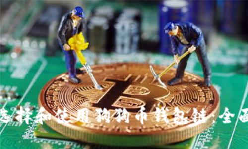 如何选择和使用狗狗币钱包链：全面指南
