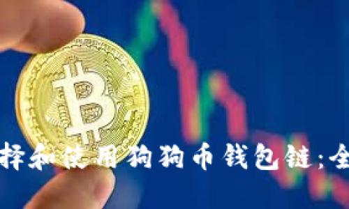 如何选择和使用狗狗币钱包链：全面指南
