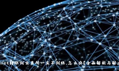 TPWallet转账到交易所一直不到账，怎么办？全面解析与解决方案
