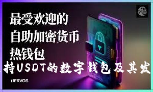 最早支持USDT的数字钱包及其发展历程