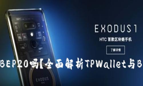 TPWallet兼容BEP20吗？全面解析TPWallet与BEP20的兼容性