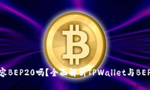 TPWallet兼容BEP20吗？全面解析TPWallet与BEP20的兼容性
