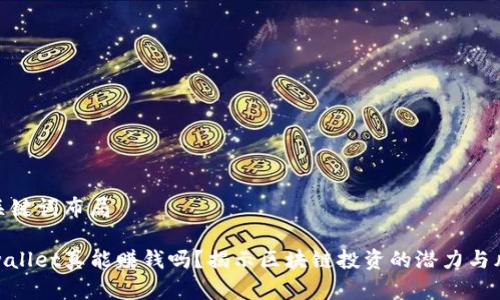 和关键词布局

tpwallet真能赚钱吗？揭示区块链投资的潜力与风险
