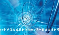 TPWallet资产消失后该如何处