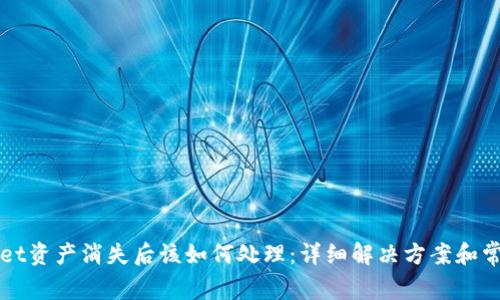 TPWallet资产消失后该如何处理：详细解决方案和常见问题