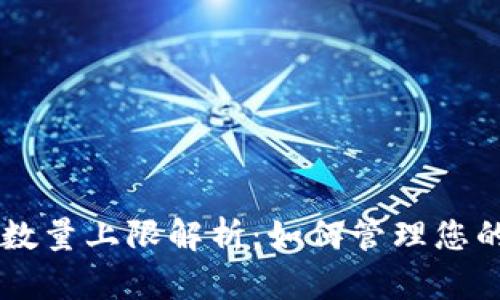 TPWallet数量上限解析：如何管理您的数字资产