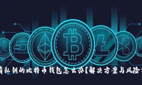 没有私钥的比特币钱包怎么办？解决方案与风险分析