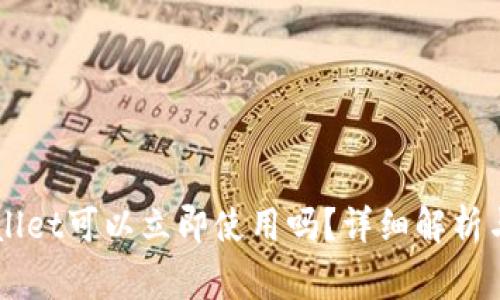 新创建的TPWallet可以立即使用吗？详细解析与常见问题解答