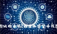 所有钱包都支持比特币吗
