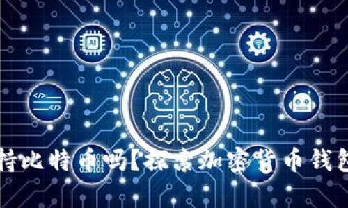 所有钱包都支持比特币吗？探索加密货币钱包的种类与功能