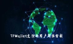 TPWallet支付的用户群体分析
