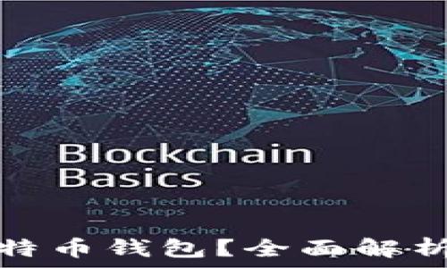   
如何选择安全的比特币钱包？全面解析最安全的钱包选项