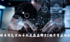 比特币钱包里的币到底存