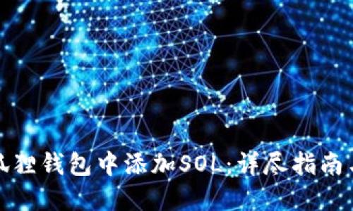 如何在小狐狸钱包中添加SOL：详尽指南与实用技巧