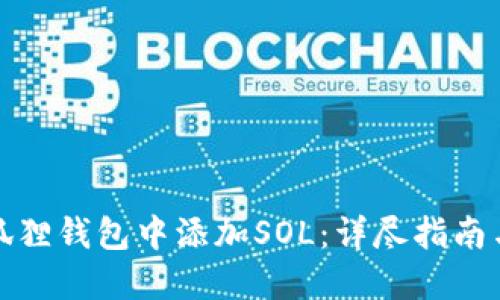 如何在小狐狸钱包中添加SOL：详尽指南与实用技巧