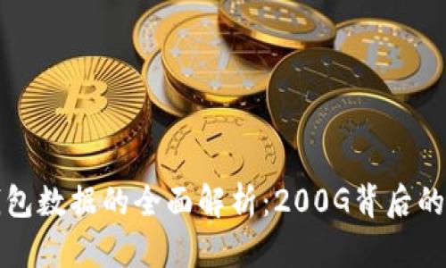 比特币客户端钱包数据的全面解析：200G背后的秘密与应对策略
