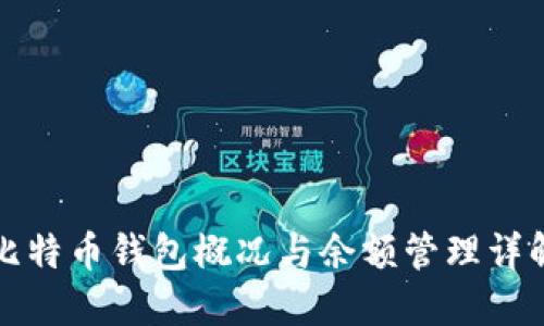 比特币钱包概况与余额管理详解
