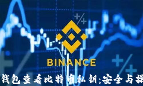 
如何在钱包查看比特币私钥：安全与操作指南