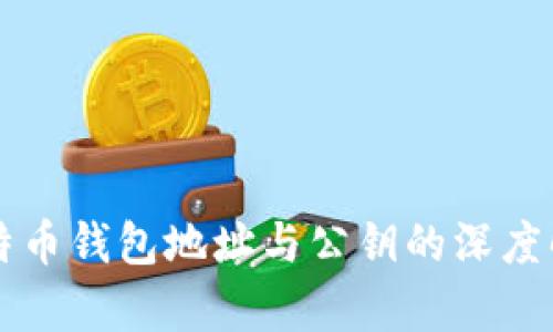 比特币钱包地址与公钥的深度解析