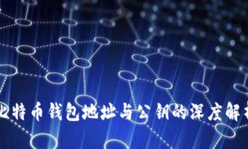 比特币钱包地址与公钥的深度解析