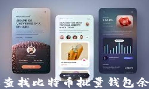 
如何高效查找比特币批量钱包余额的方式