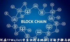 如何在TPWallet中查询持币地