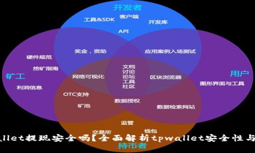 tpwallet提现安全吗？全面解析tpwallet安全性与风险