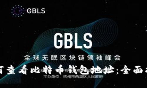 如何查看比特币钱包地址：全面指南