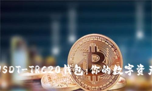 详解欧易USDT-TRC20钱包：你的数字资产安全之选