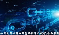 如何使用比特币钱包地址