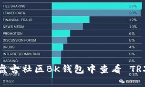 如何在盘古社区BK钱包中查看 TRX 数量？