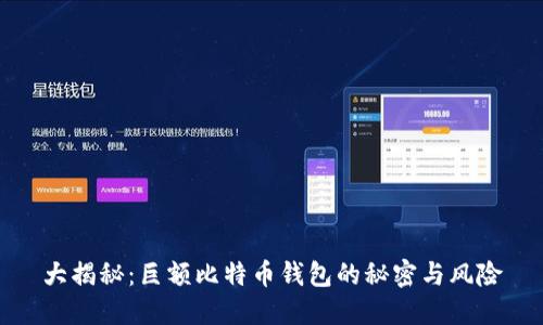 大揭秘：巨额比特币钱包的秘密与风险