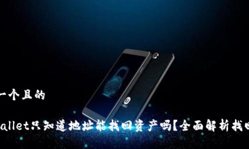 思考一个且的

TP Wallet只知道地址能找回资产吗？全面解析找回方法