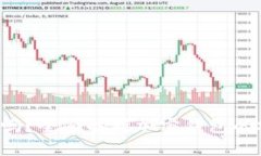 Token钱包跑路了吗？全面解