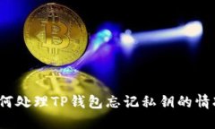 如何处理TP钱包忘记私钥的