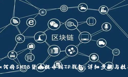 如何将SHIB货币提币到TP钱包：详细步骤与技巧