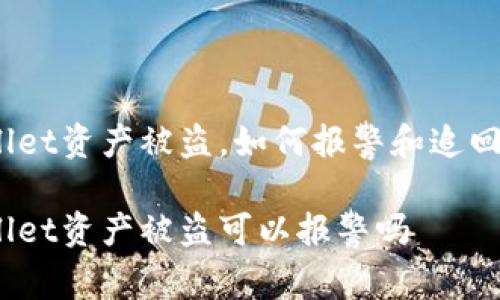 tpwallet资产被盗，如何报警和追回损失？

tpwallet资产被盗可以报警吗