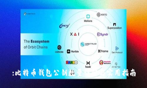 :比特币钱包公钥数量详解与实用指南