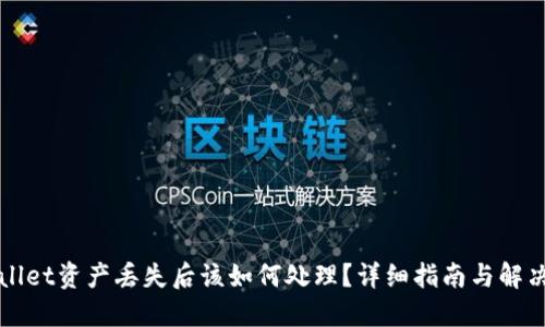 TPWallet资产丢失后该如何处理？详细指南与解决方案