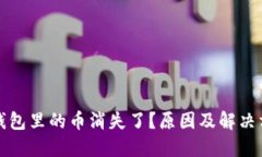 比特币钱包里的币消失了