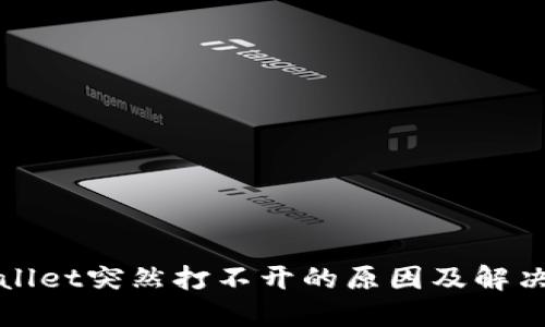 TPWallet突然打不开的原因及解决方案