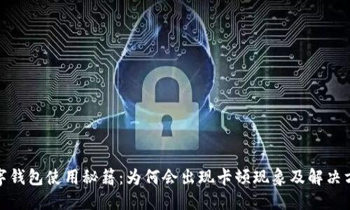 数字钱包使用秘籍：为何会出现卡顿现象及解决方案