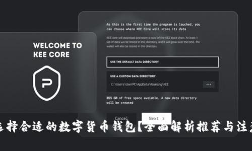 如何选择合适的数字货币钱包？全面解析推荐与注意事项