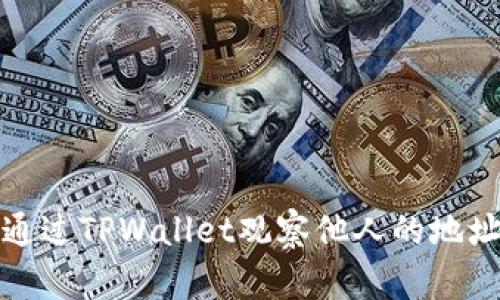如何通过TPWallet观察他人的地址信息