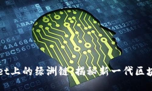 TPWallet上的绿洲链：揭秘新一代区块链技术
