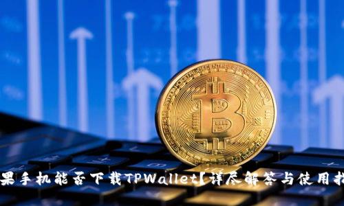 苹果手机能否下载TPWallet？详尽解答与使用指南