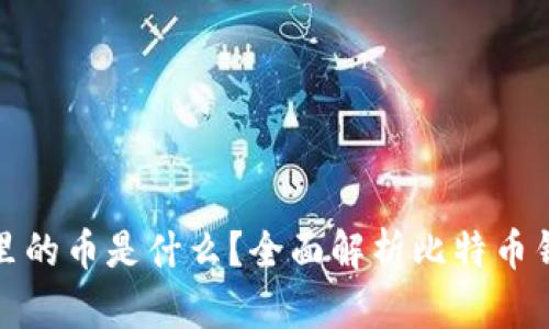 比特币钱包里的币是什么？全面解析比特币钱包的多样性