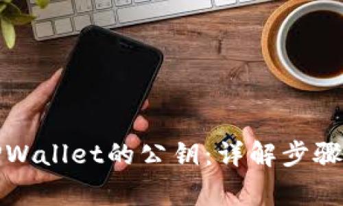 如何找到TPWallet的公钥：详解步骤与注意事项