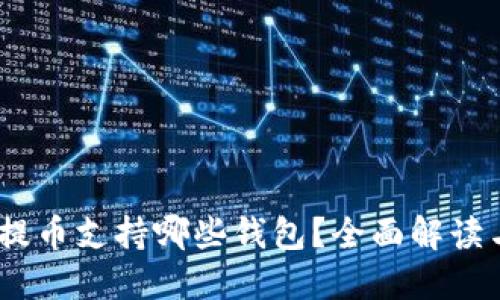 USDT提币支持哪些钱包？全面解读与推荐